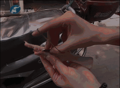 2.gif